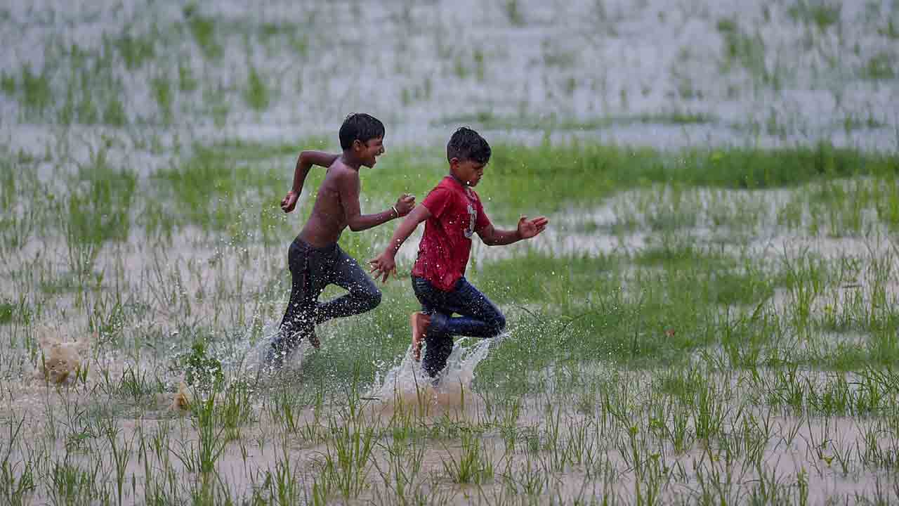 మిరుగు పండుగ!