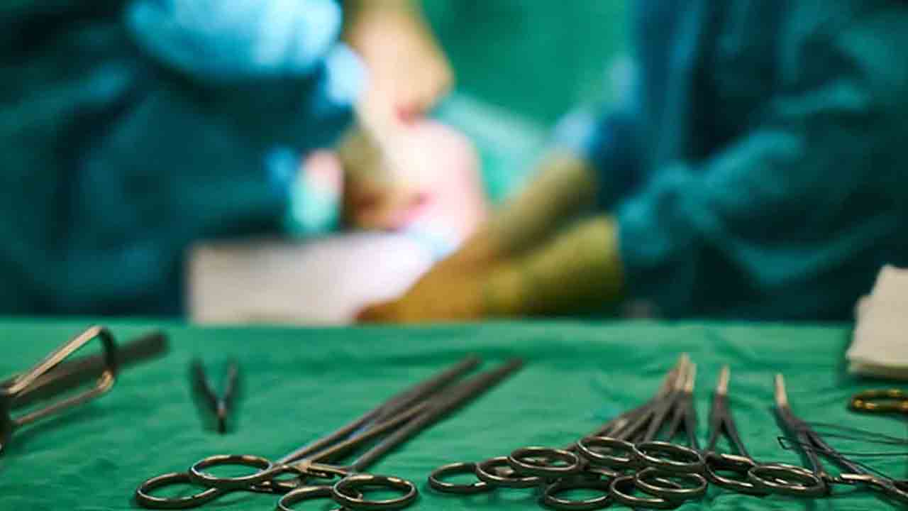 కర్ణాటకలో దారుణం.. డబ్బాలో ఏడు పిండాల అవశేషాలు