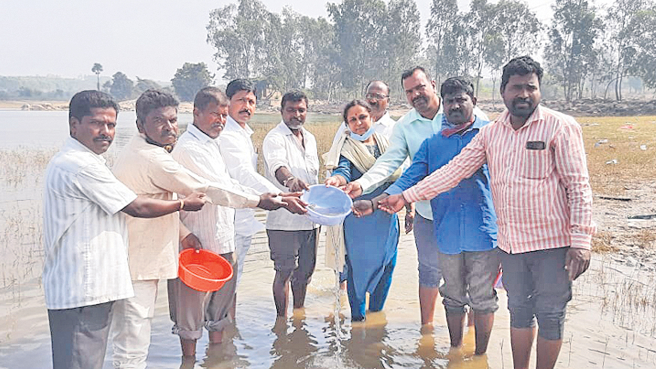 మత్స్య సంపదను పెంచేందుకు ప్రభుత్వం కృషి