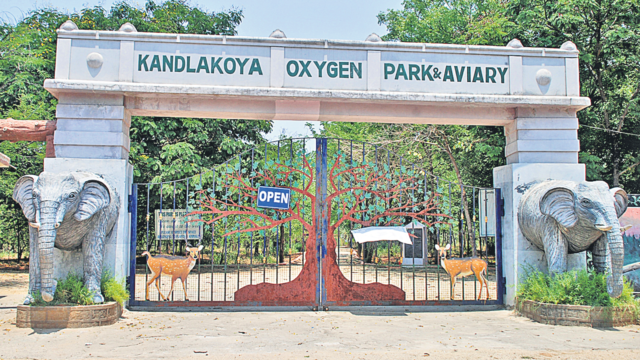 ముచ్చటైన వనం ఆకట్టుకుంటున్న విదేశీ రాగం