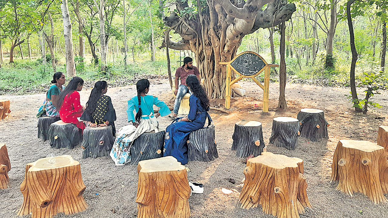 పచ్చని వనం.. సేద దీరుదాం..