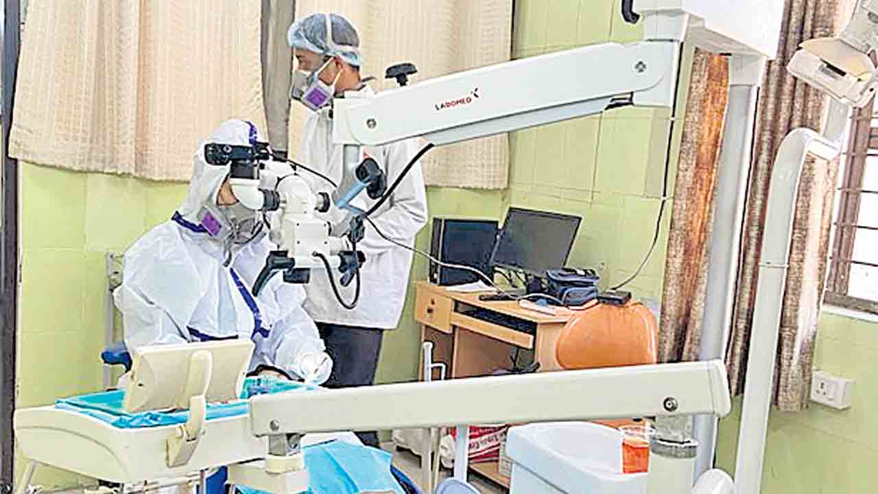 పన్నుకు దన్ను