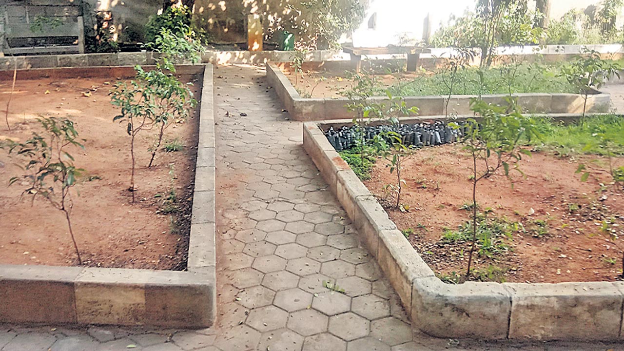 పనులకు గ్రహణం.. పత్తాలేని పచ్చదనం