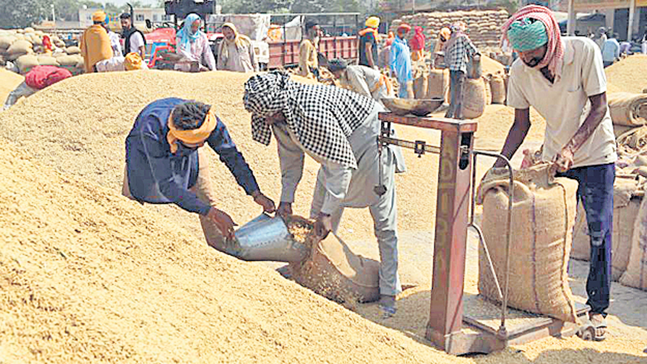 10.6 లక్షల క్వింటాళ్ల వరి ధాన్యం కొనుగోళ్లు