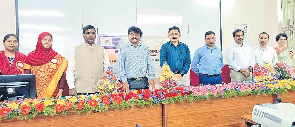 సెల్‌ కల్చర్‌ నైపుణ్యాలతో ఉపాధి విస్తృతం