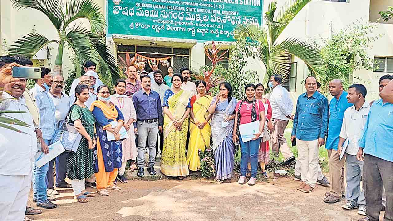 ఔషధ మొక్కల పెంపకం లాభదాయకం