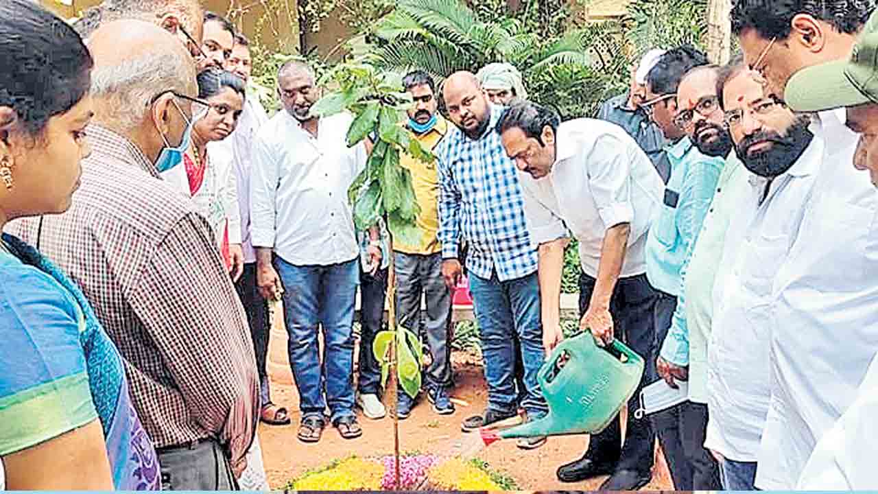 పట్టణ ప్రగతితో సమస్యల పరిష్కారం