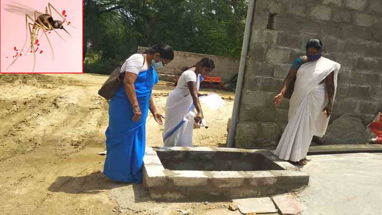 సీజనల్‌ వ్యాధులతో జాగ్రత్త