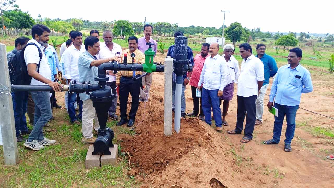 ఆయిల్‌పాం సాగు లక్ష్యం 2 లక్షల ఎకరాలు