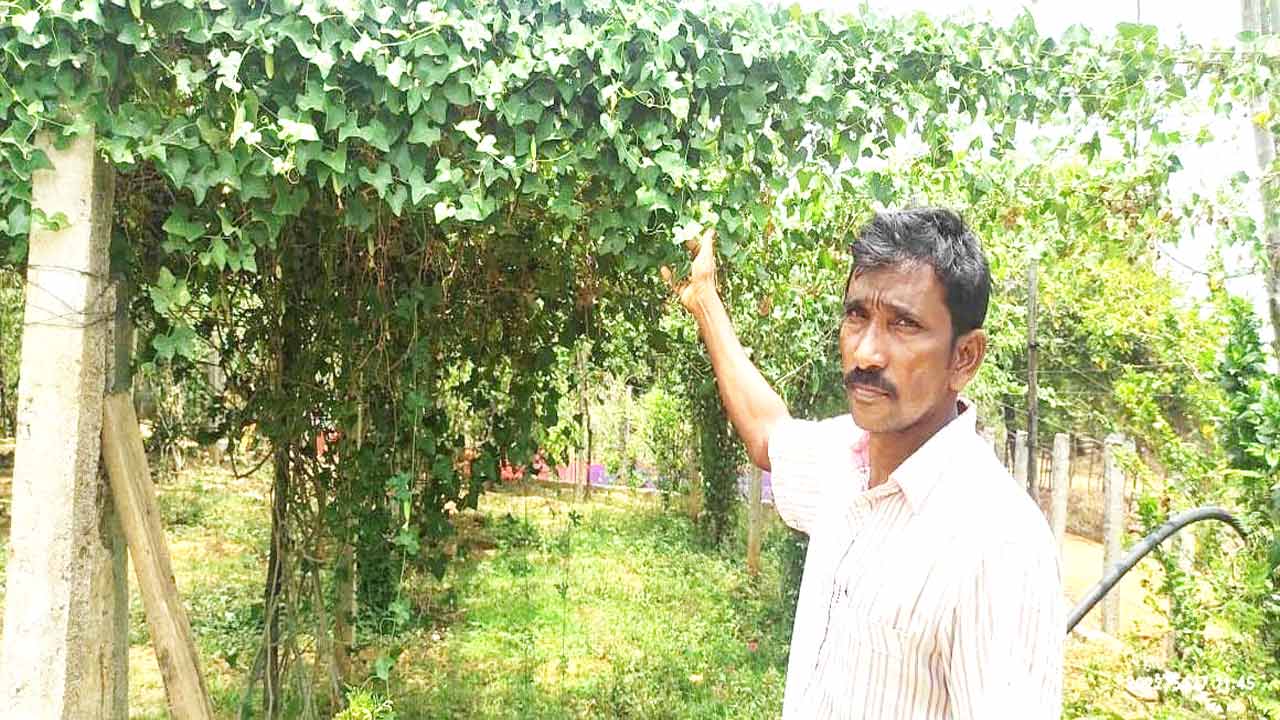 పట్టుదలే అతడి పెట్టుబడి