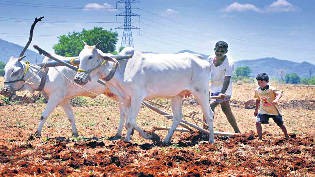ప్రధాన్‌ మంత్రి కిసాన్‌ ఝూటా యోజన