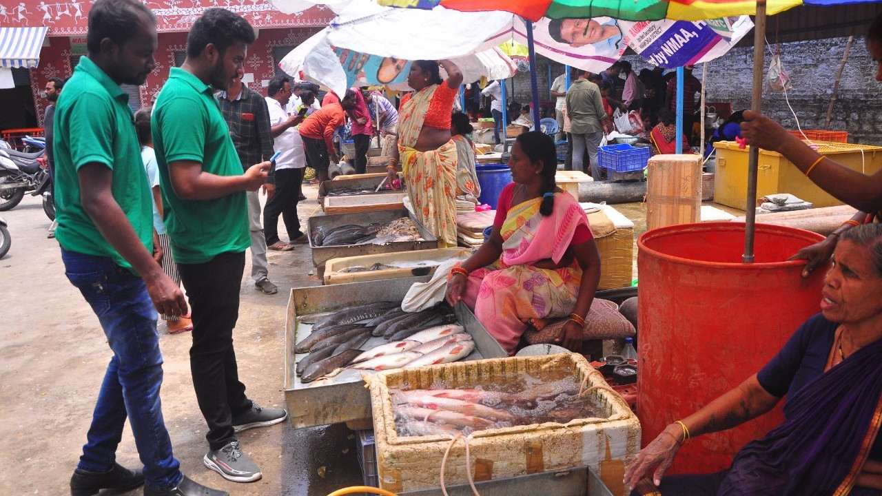 మృగశిర సందడి