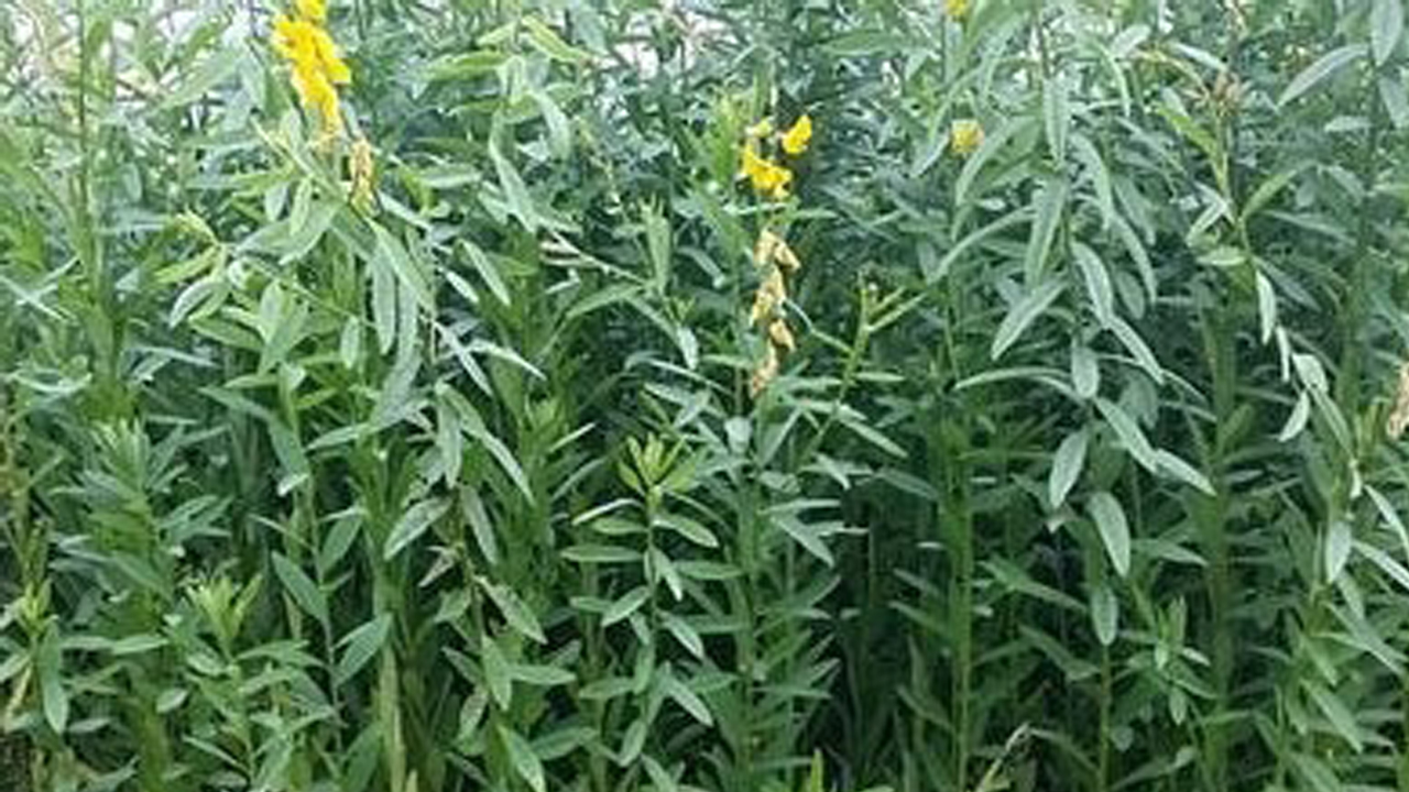 భూసారంతోనే భవిత