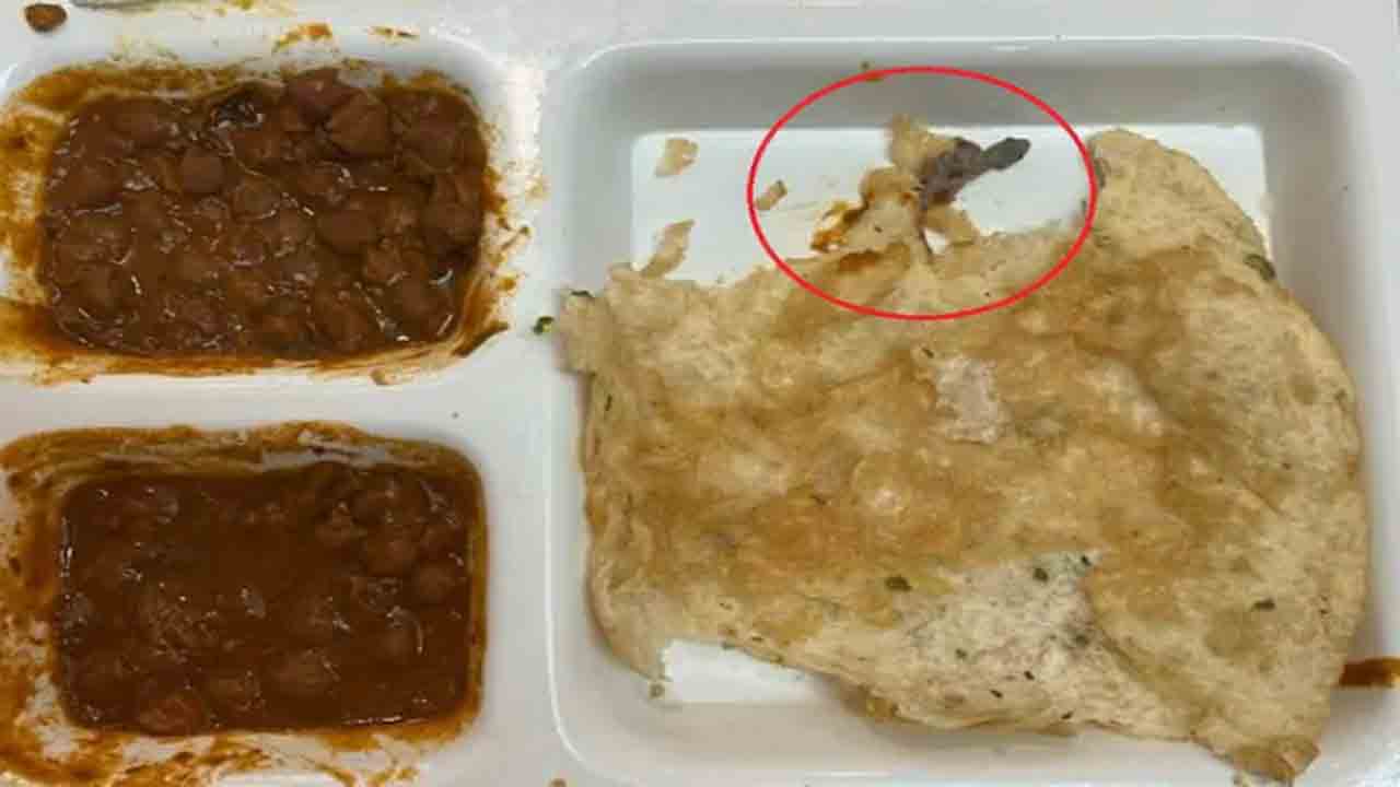 Watch: ఈటరీ ఫుడ్‌లో బల్లి… వ్యక్తి ఫిర్యాదుపై స్పందించిన అధికారులు