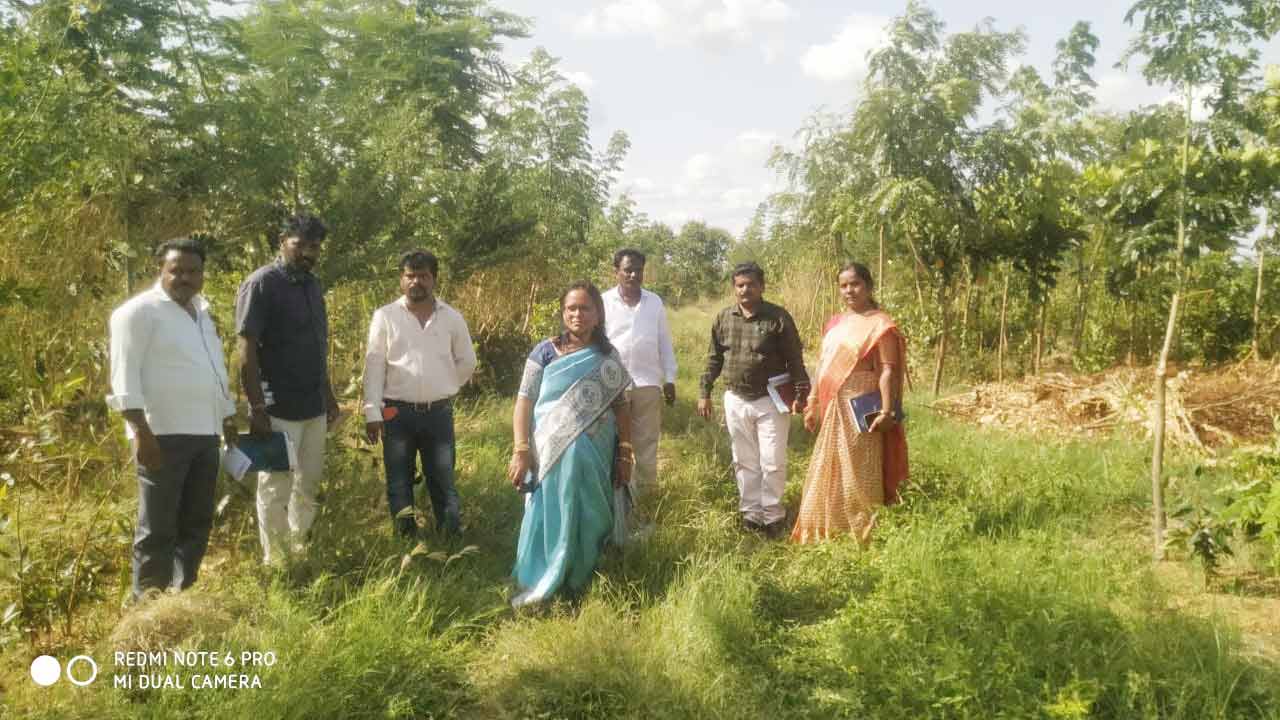 ప్రత్యేక శ్రద్ధ తీసుకోవాలి