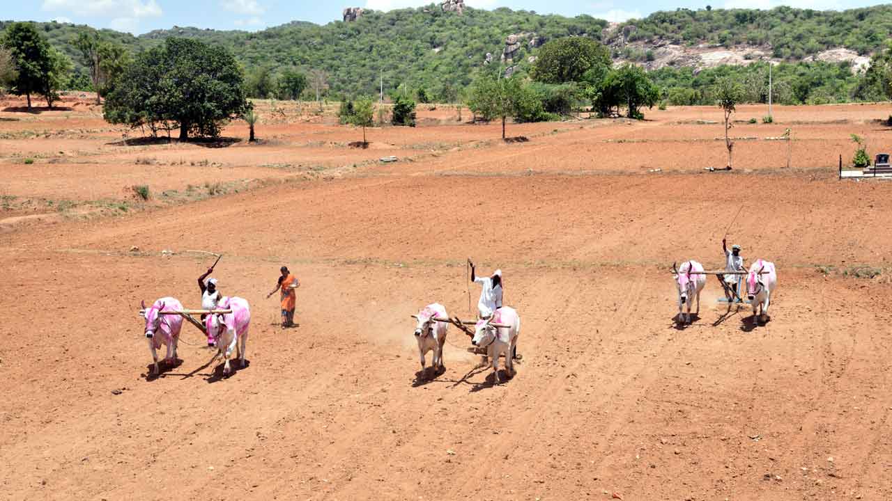 మరింత ఉత్సాహంగా..