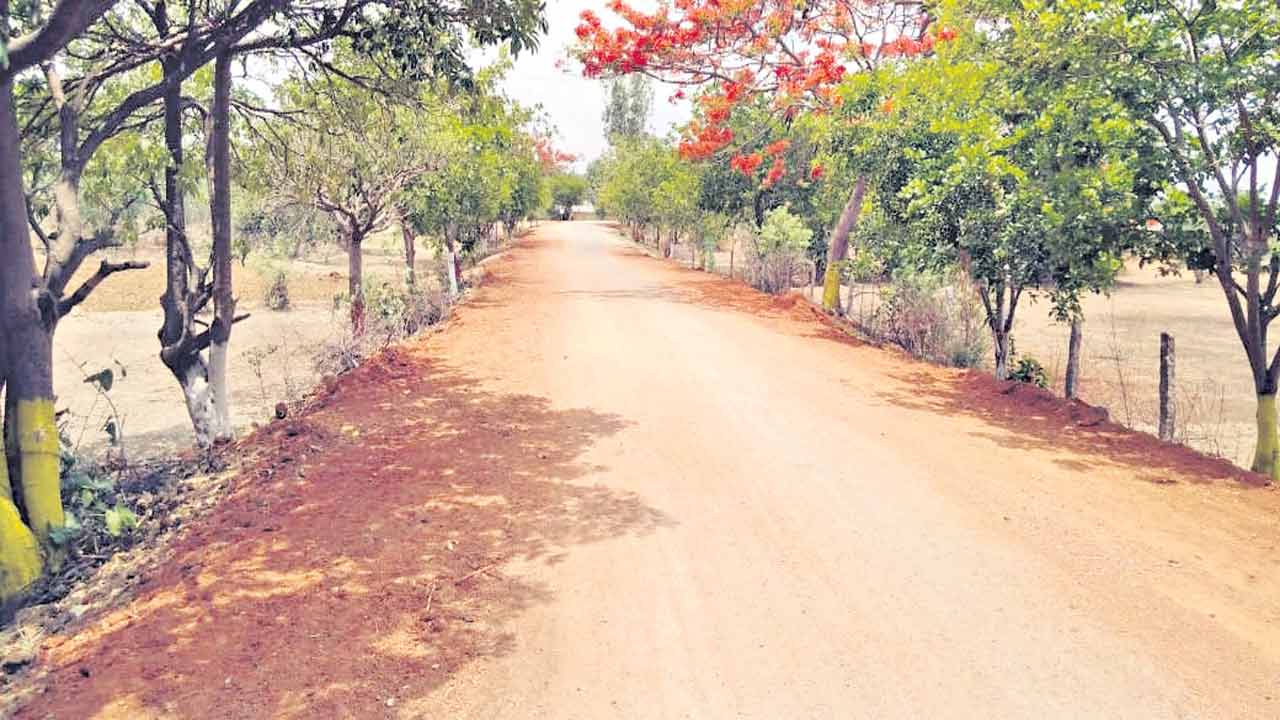 పెద్ద చింతకుంట అభివృద్ధిలో ఆదర్శం