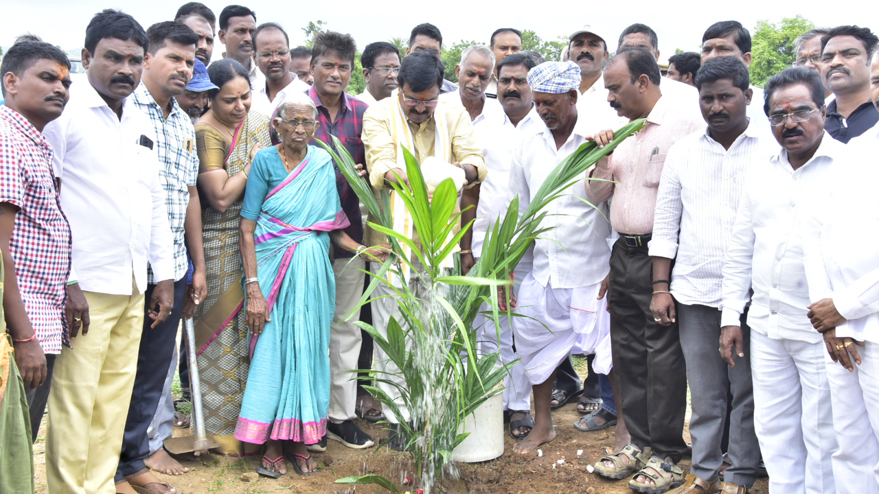 ఆయిల్‌పాంతో ఆమ్దానీ