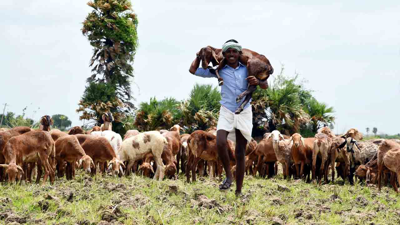 యలమందహసం!