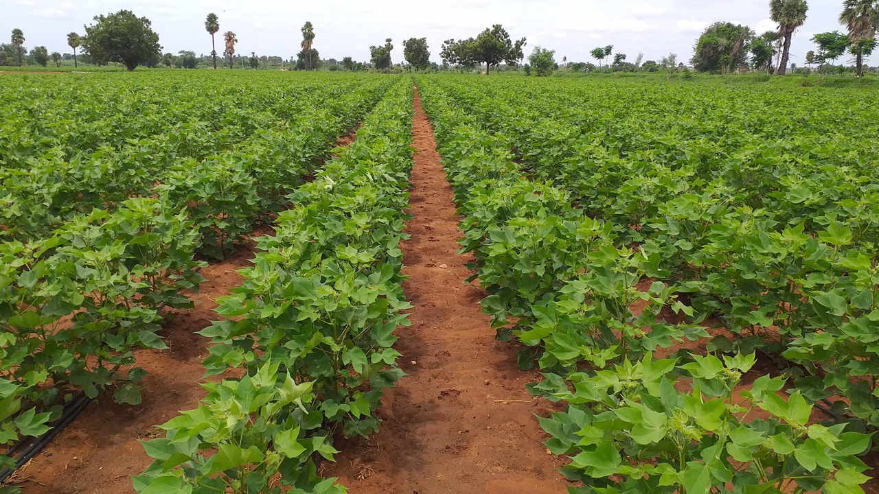 పెరిగిన సంపత్తి