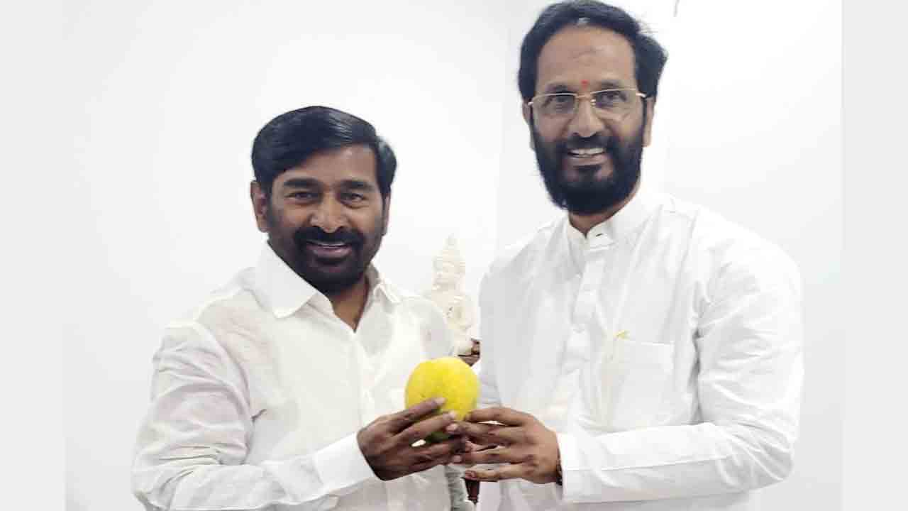 మామిడి కొత్త వంగడం ‘గంగా’