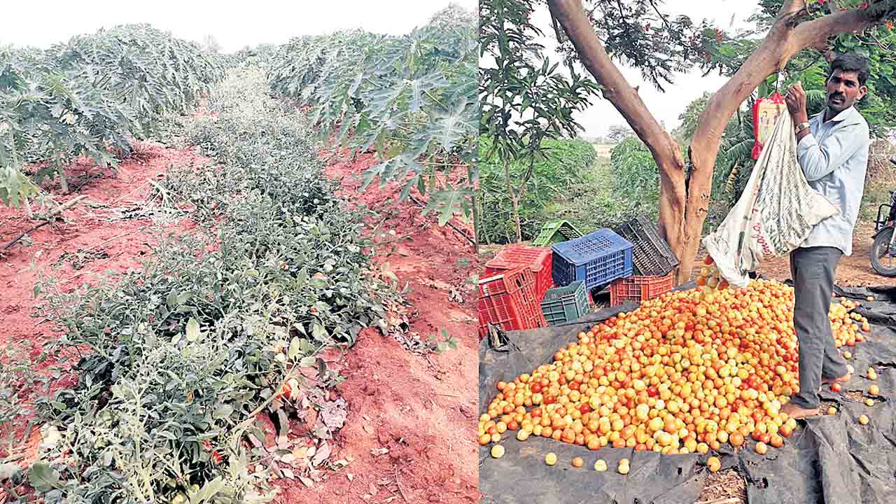తక్కువ పెట్టుబడి.. ఎక్కువ లాభం