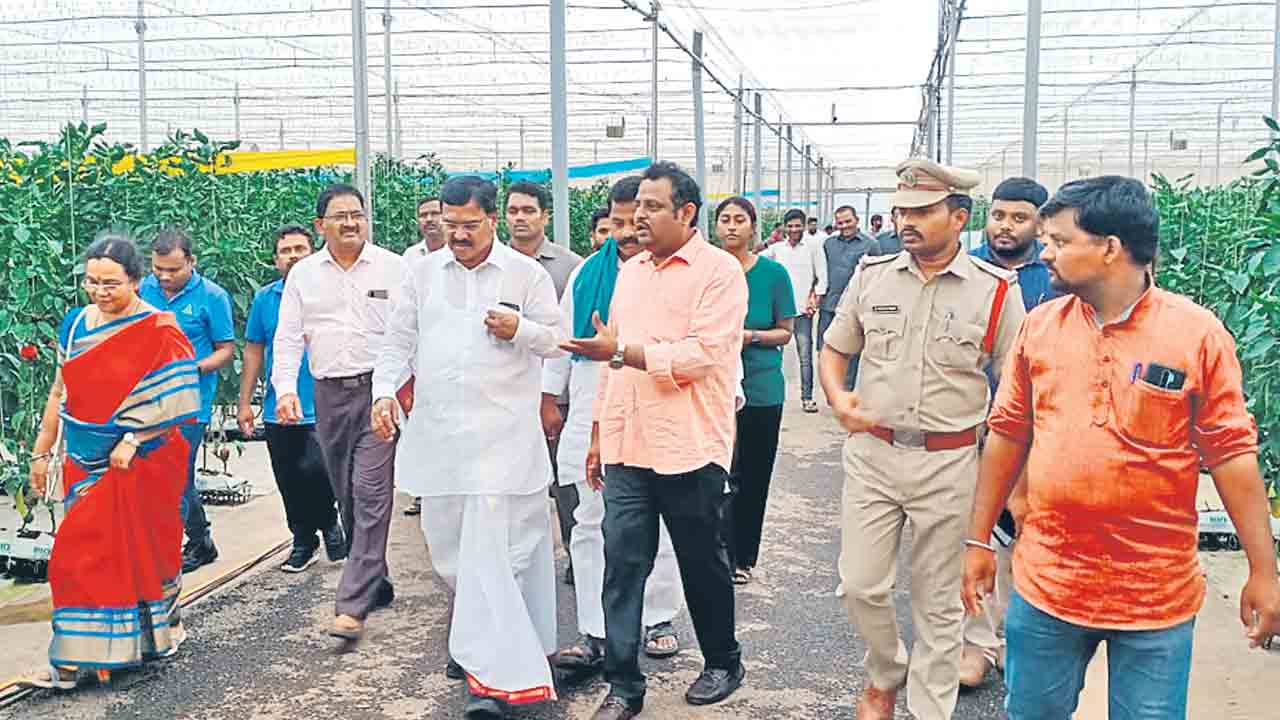 ‘హైడ్రోపోనిక్‌’ పద్ధ్దతి బాగుంది.. : మంత్రి