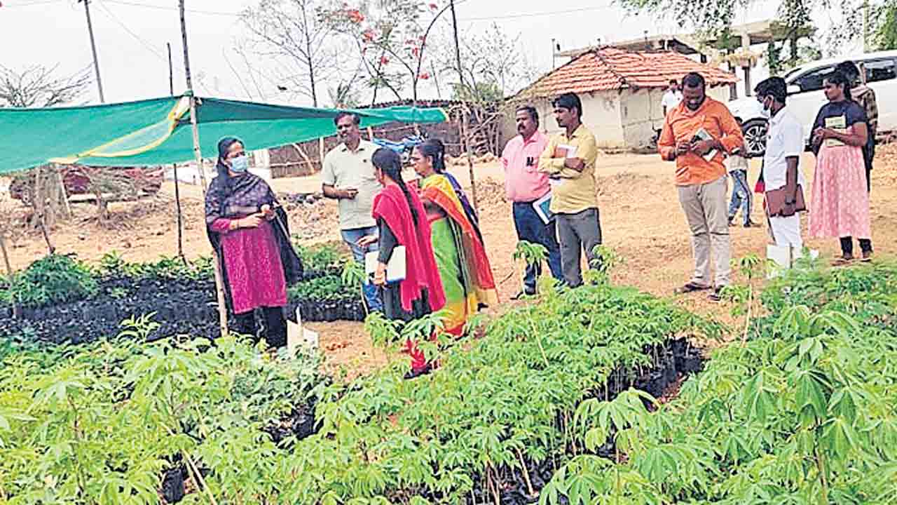 హరితహారానికి సర్వం సిద్ధం