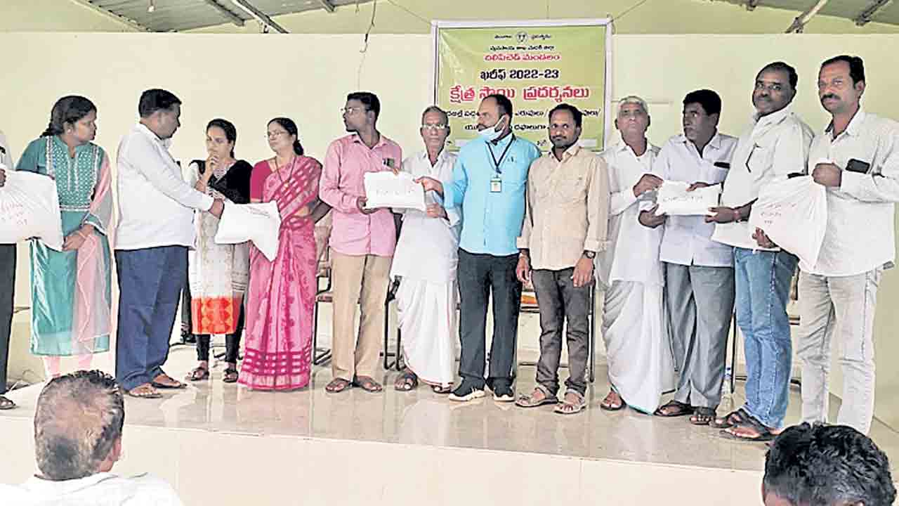 భూముల్లో పచ్చిరొట్ట వేయాలి