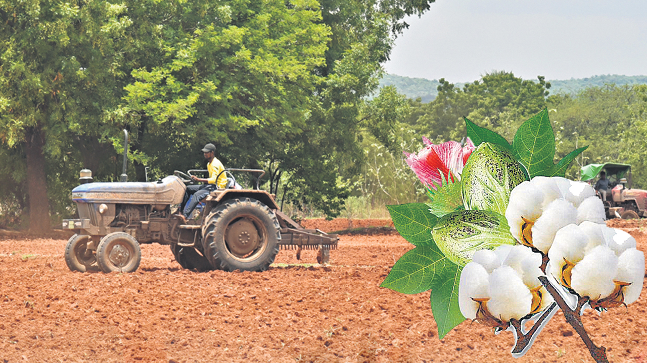 కొత్త సంపత్తి