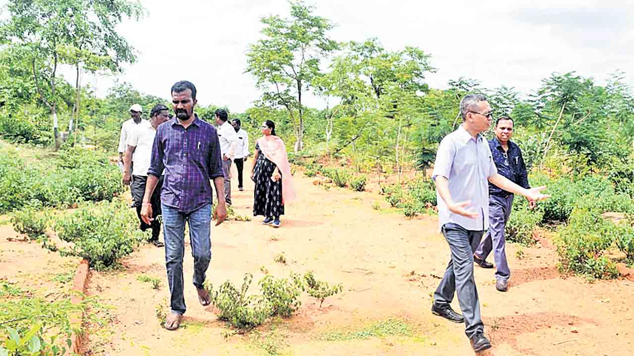 నీటి సంరక్షణ పనులు భేష్‌