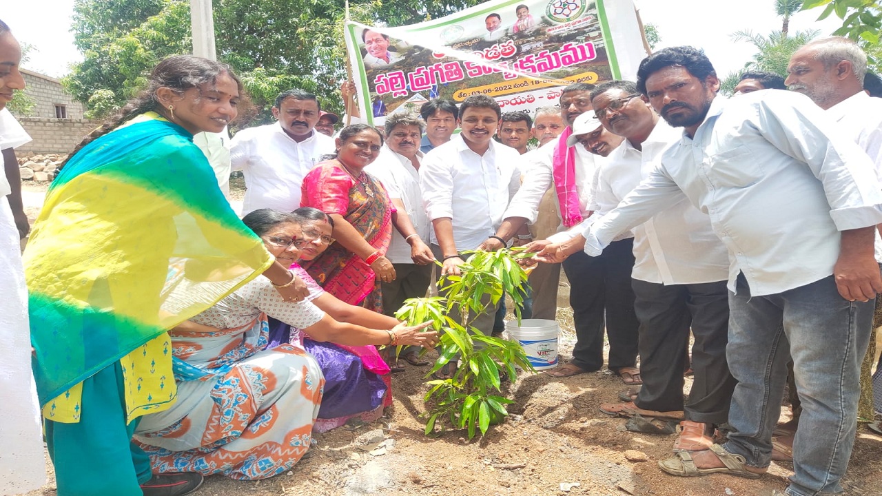 పట్టణ ప్రగతిలో భాగస్వాములు కావాలి
