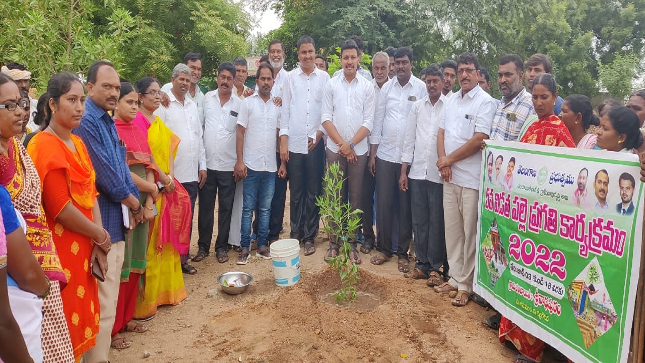 హరిత తెలంగాణే లక్ష్యం