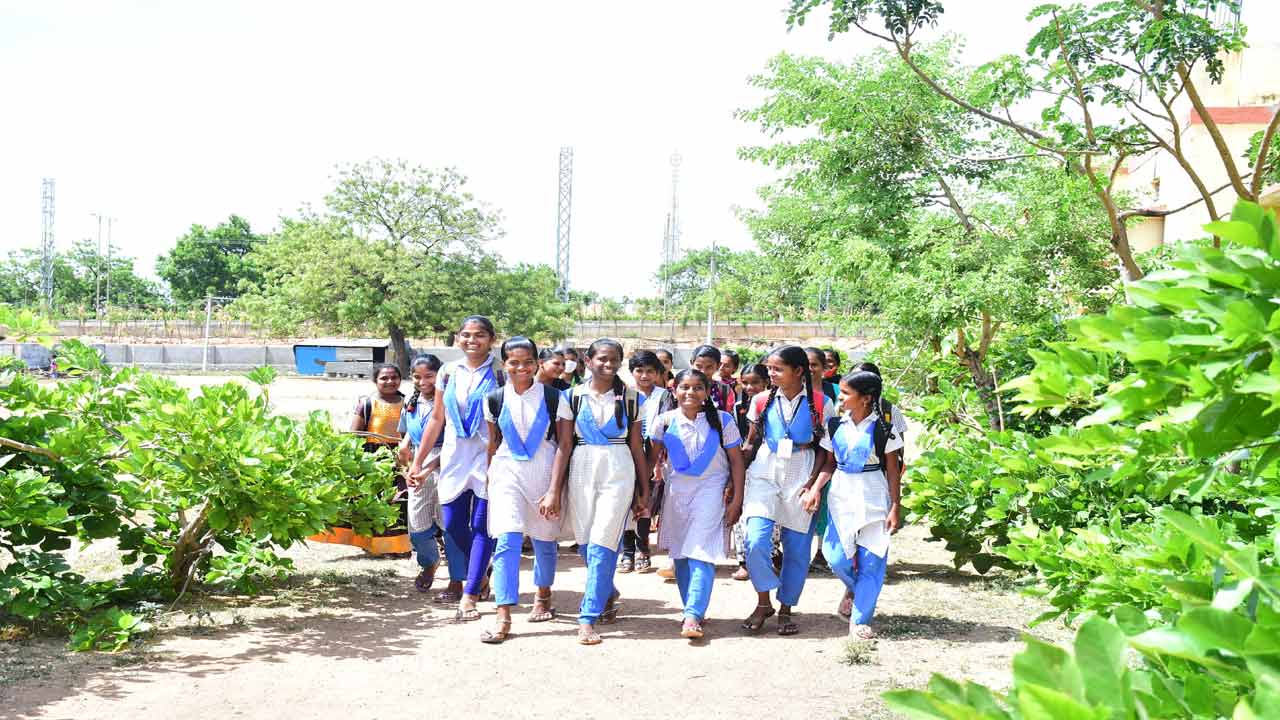 మోగిన బడి గంట..