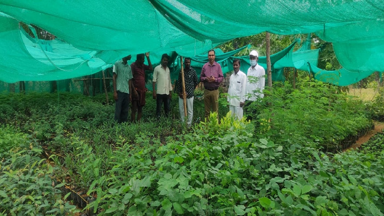 పల్లె ప్రగతితో మారిన గ్రామాలు