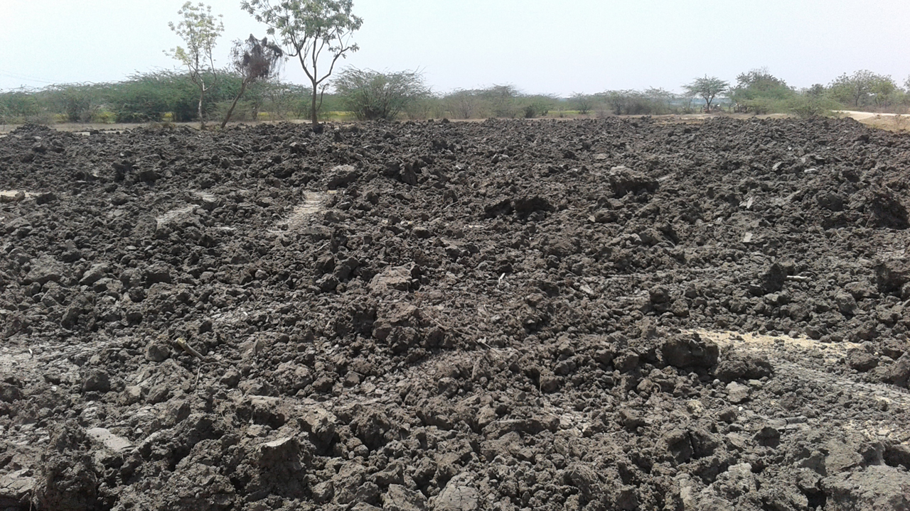 పెట్టుబడి తగ్గించువుంటే సిరుల పంటే