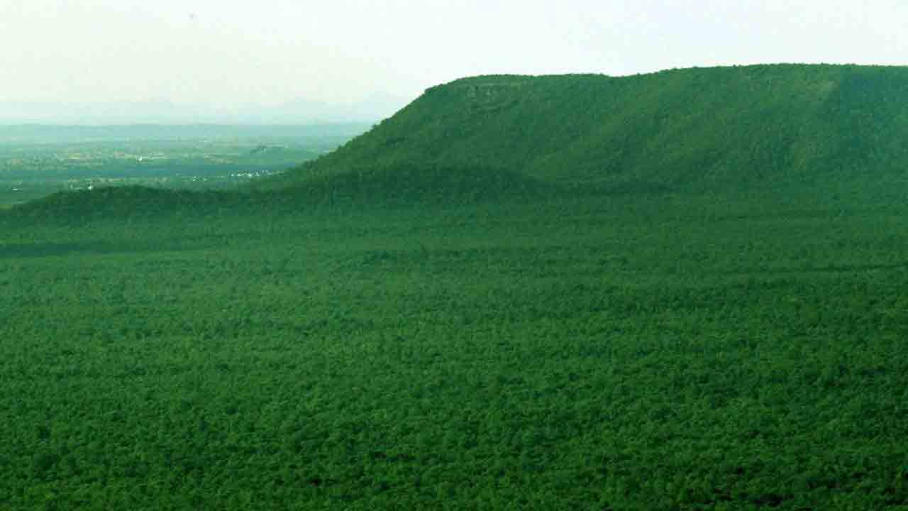 ‘న‌ల్ల‌మ‌ల’ అందాలు అద‌ర‌హో.. ఎంపీ సంతోష్ కుమార్ ట్వీట్