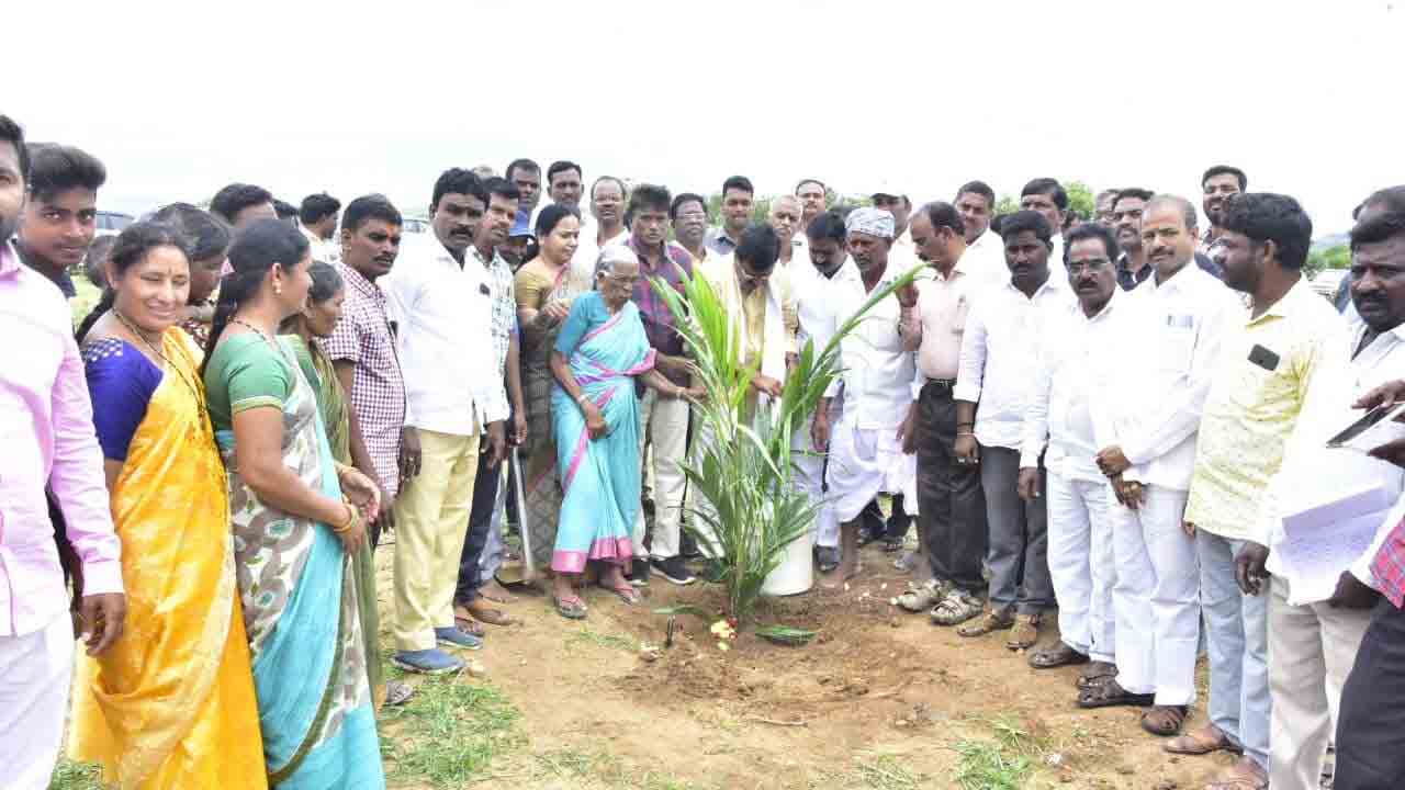 ఆయిల్‌ పామ్‌ సాగుతో రైతులకు నికర ఆదాయం : నిరంజన్‌రెడ్డి