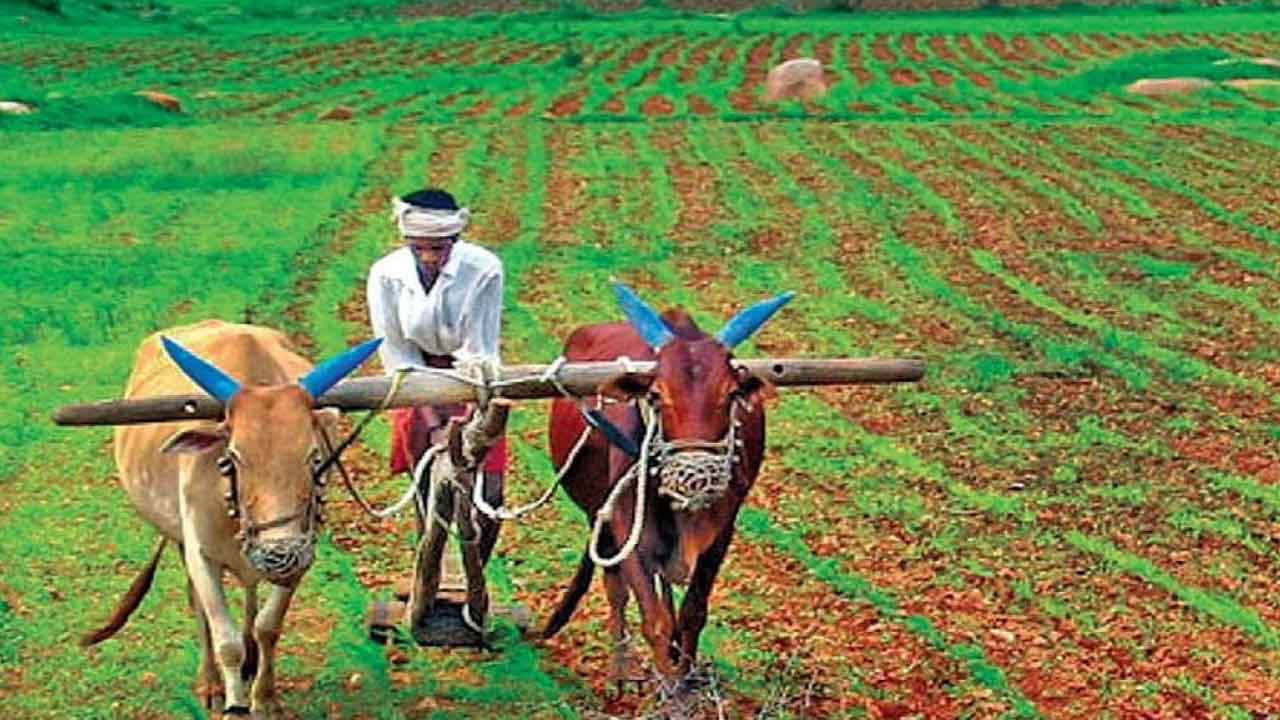 కోనసీమ రైతుల క్రాప్‌ హాలీడే.. దెబ్బకు దిగొచ్చిన ఏపీ ప్రభుత్వం