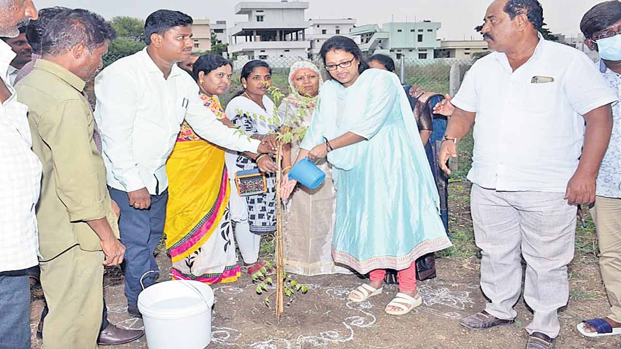 ఎవెన్యూ ప్లాంటేషన్‌పై ప్రత్యేక శ్రద్ధ తీసుకోవాలి