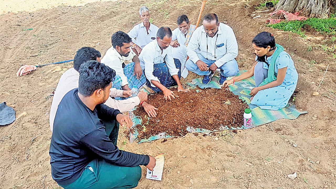 జీవఎరువుల వాడకంపై అవగాహన