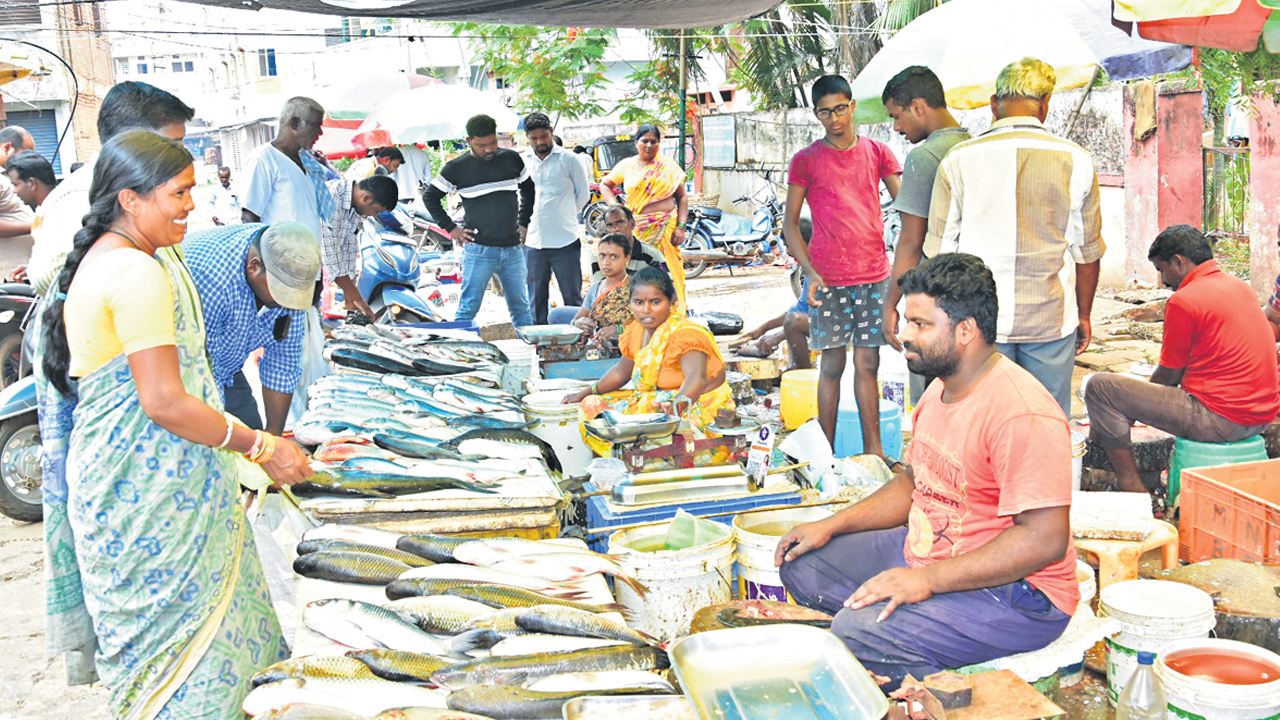 మృగశిర సందడి
