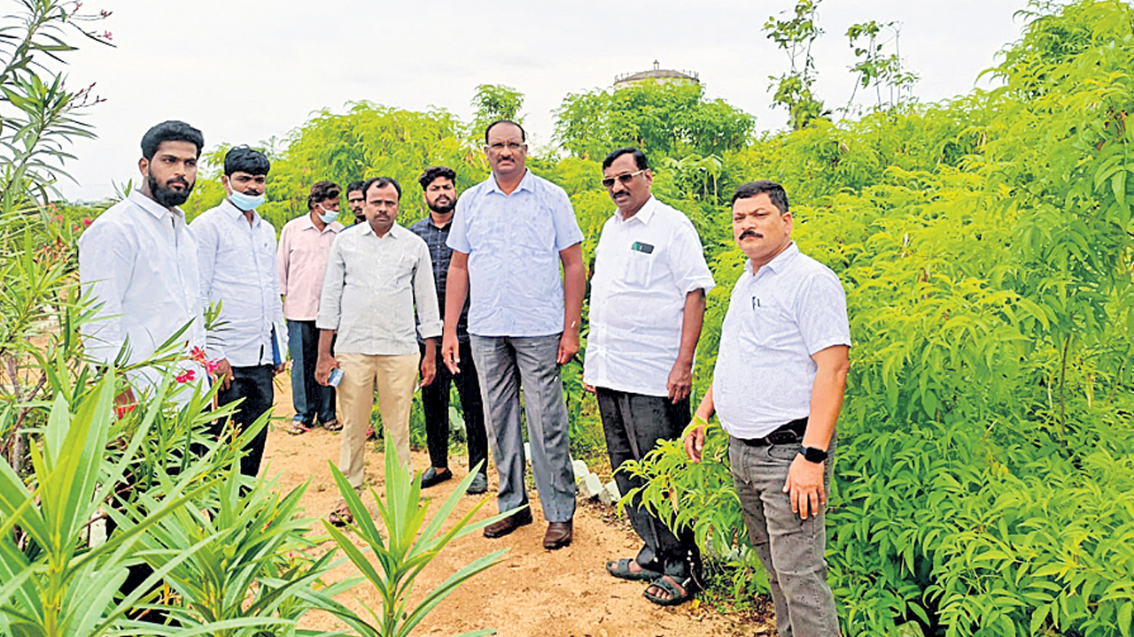 నాటిన ప్రతి మొక్కనూ సంరక్షించాలి