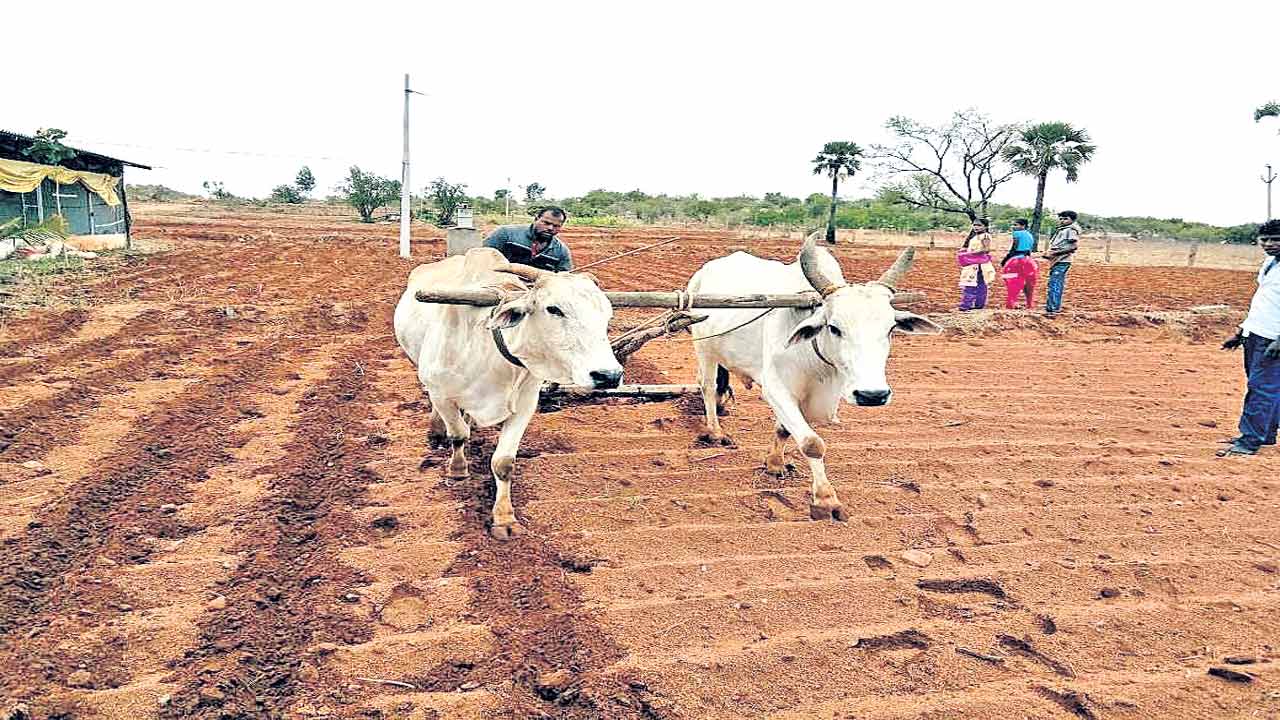 పొలం బాటన.. అన్నదాతలు