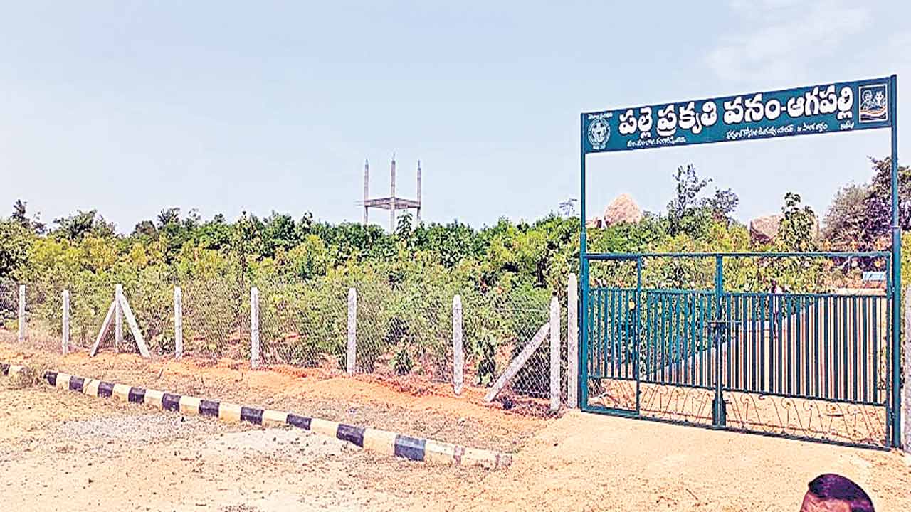 ప్రకృతి వనంతో పల్లెకు కొత్తశోభ