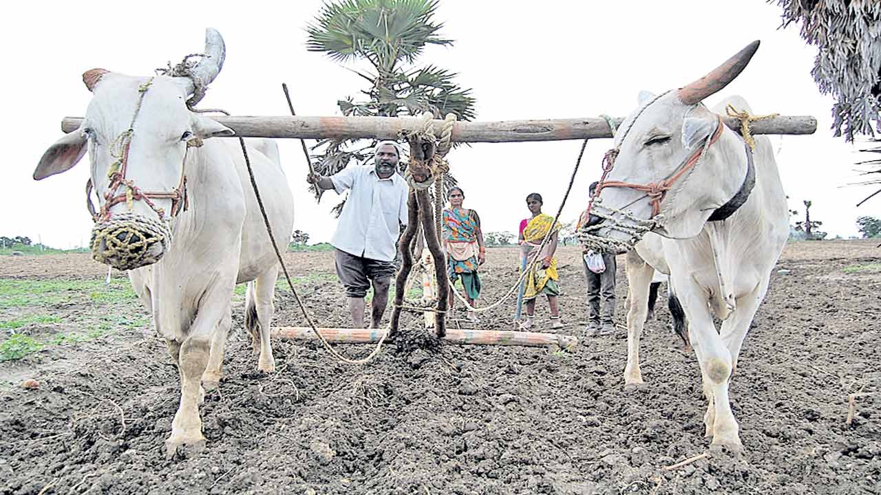 లాగోడికి.. సాయమొస్తోంది..