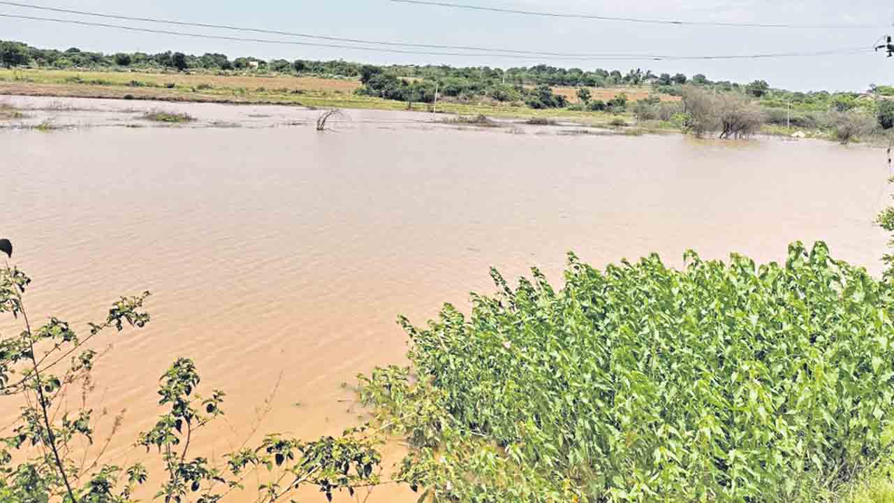 మోస్తరు నుంచి భారీ వర్షం