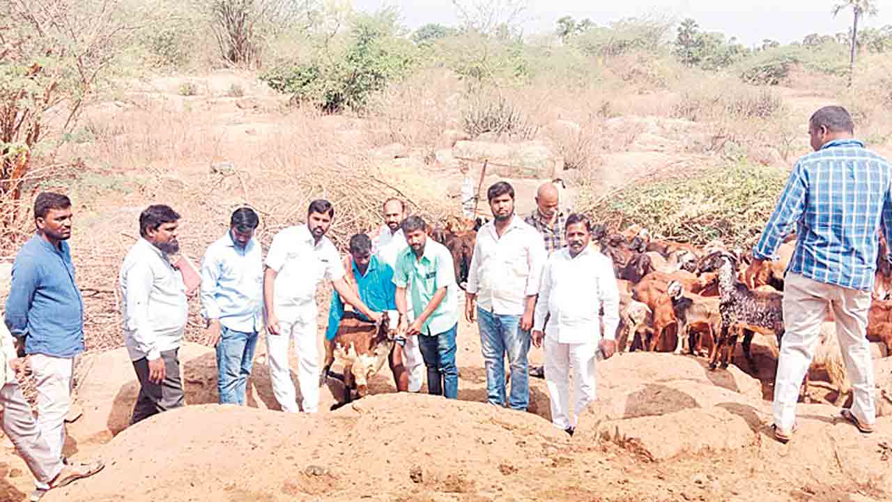 జీవాలకు నట్టల మందు వేయించాలి