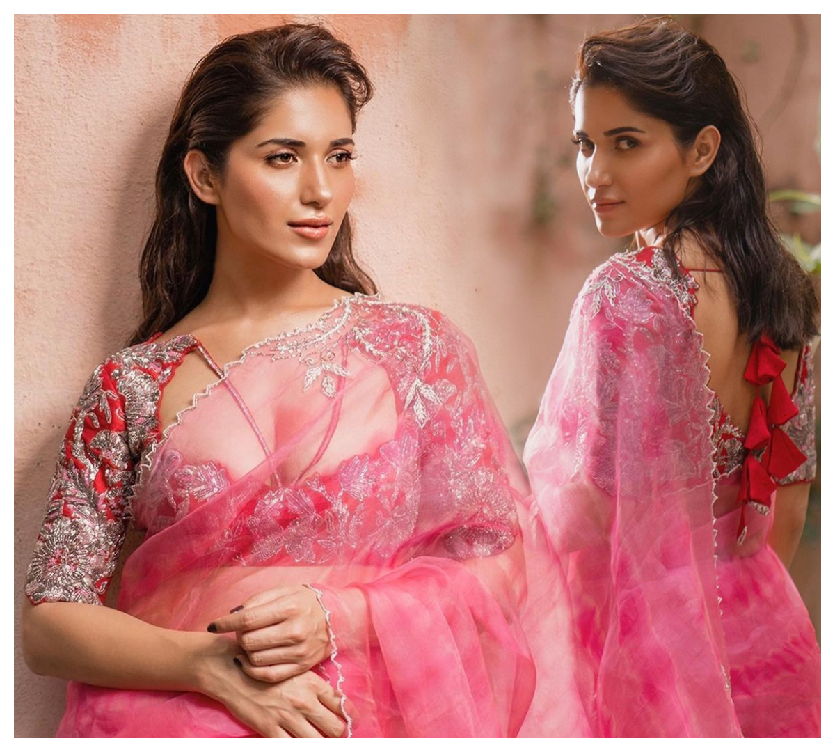 Ruhani Sharma | పిక్ క‌ల‌ర్ శారీలో రుహాని శర్మ అందాల హోయ‌లు..