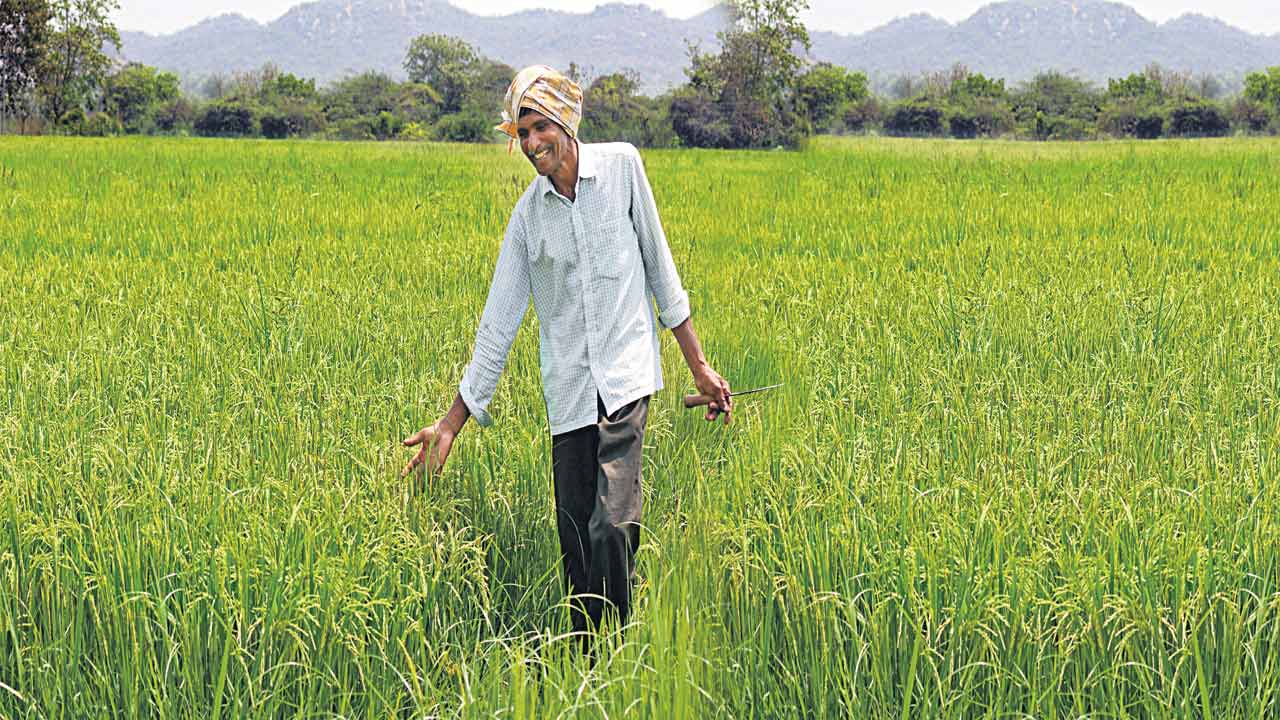 జనన బీభత్సం.. జీవిత సౌందర్యం